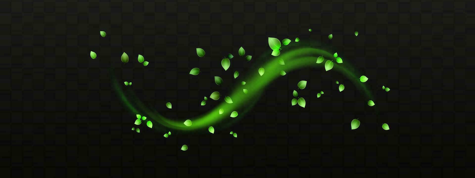 Herbal vector with herbaceous mint leaves on a transparent background. Spring green lime or tea leaves.Flying greenish leaves in the wind.