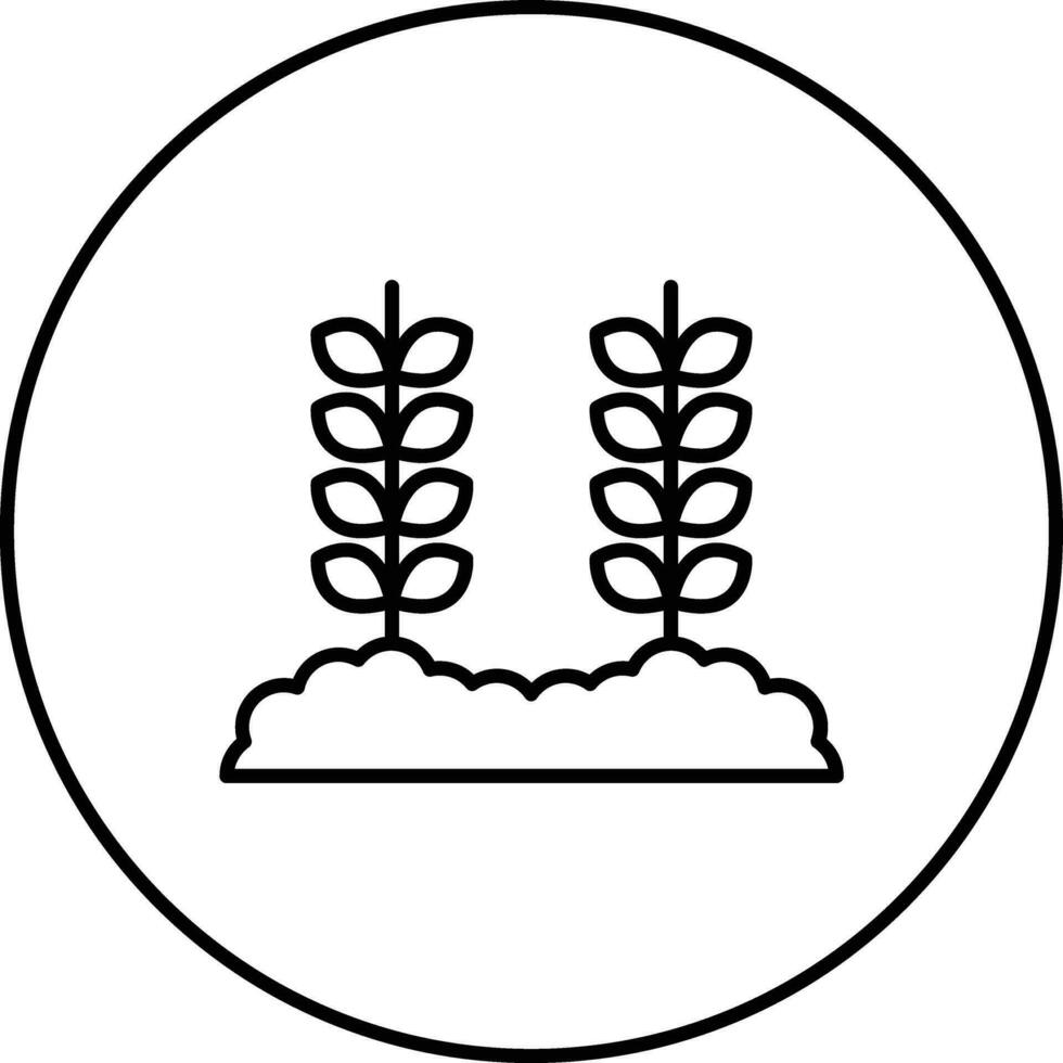 trigo plantación vector icono