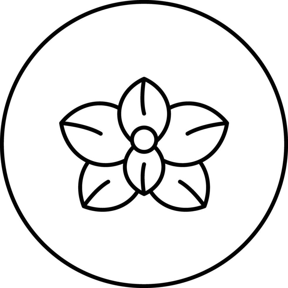 Orchid Vector Icon