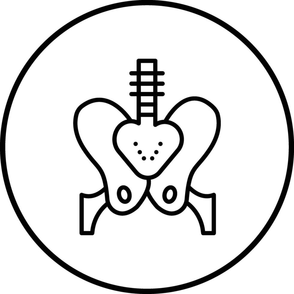pelvis vector icono