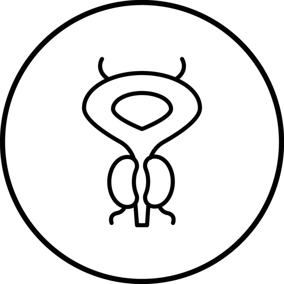 próstata vector icono