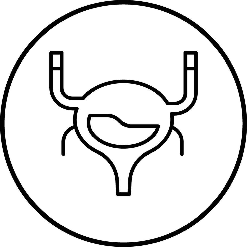 Bladder Vector Icon