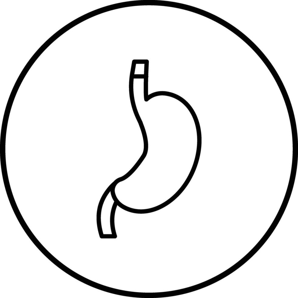 Stomach Vector Icon