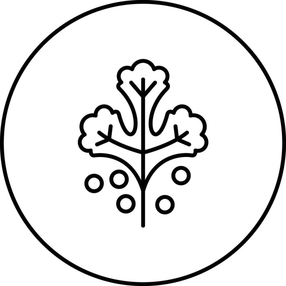 icono de vector de cilantro