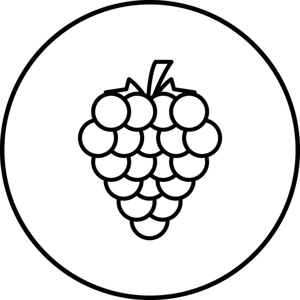 Raspberry Vector Icon