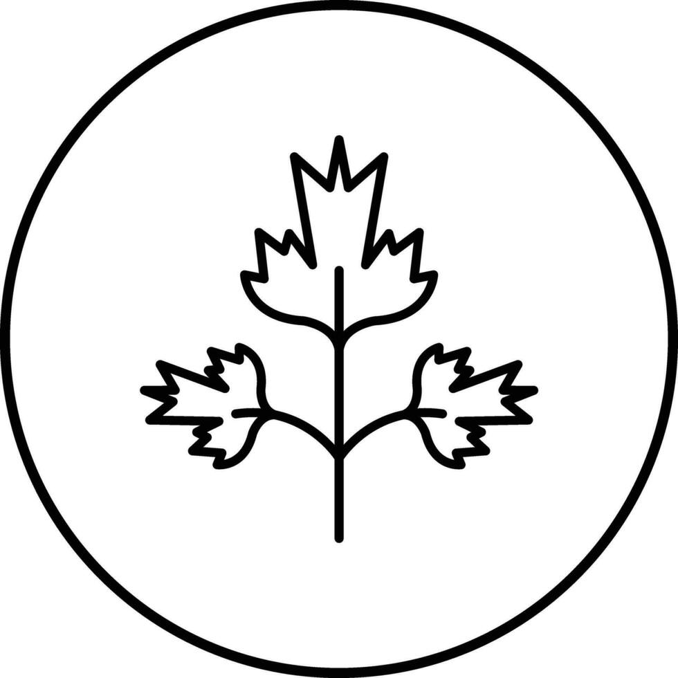 Parsley Vector Icon