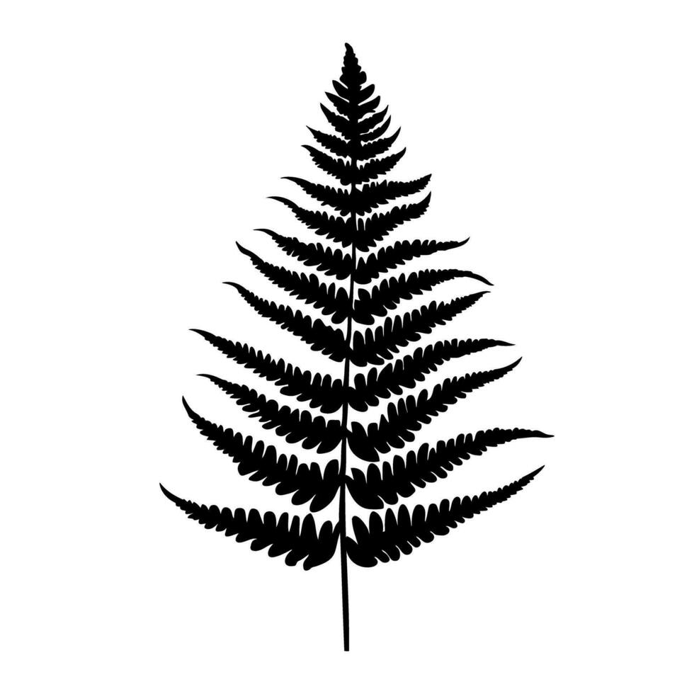Fern leaf silhouette. Vector illustration