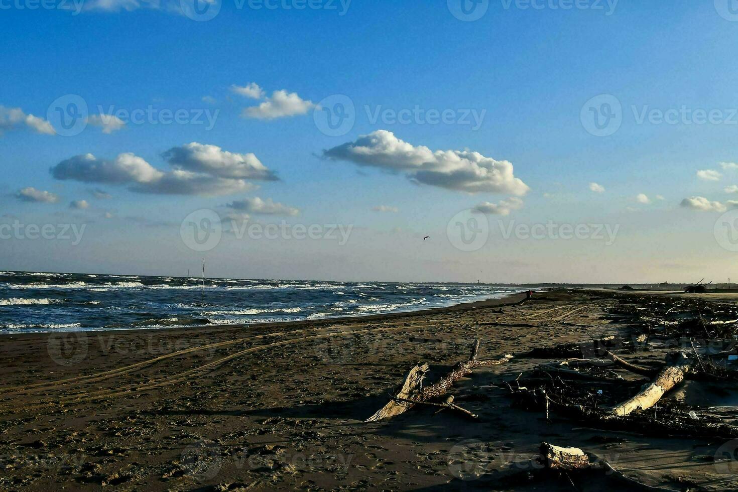 a beach with driftwood and a blue sky photo
