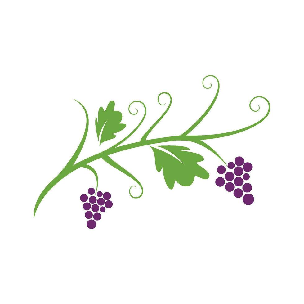 Grapes vector icon illustration design