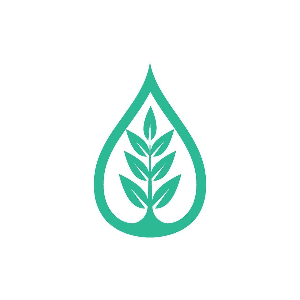 plantilla de logotipo de gota de agua vector