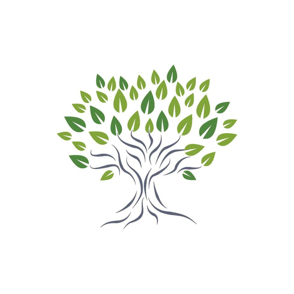 logotipos de la ecología de la hoja del árbol verde vector