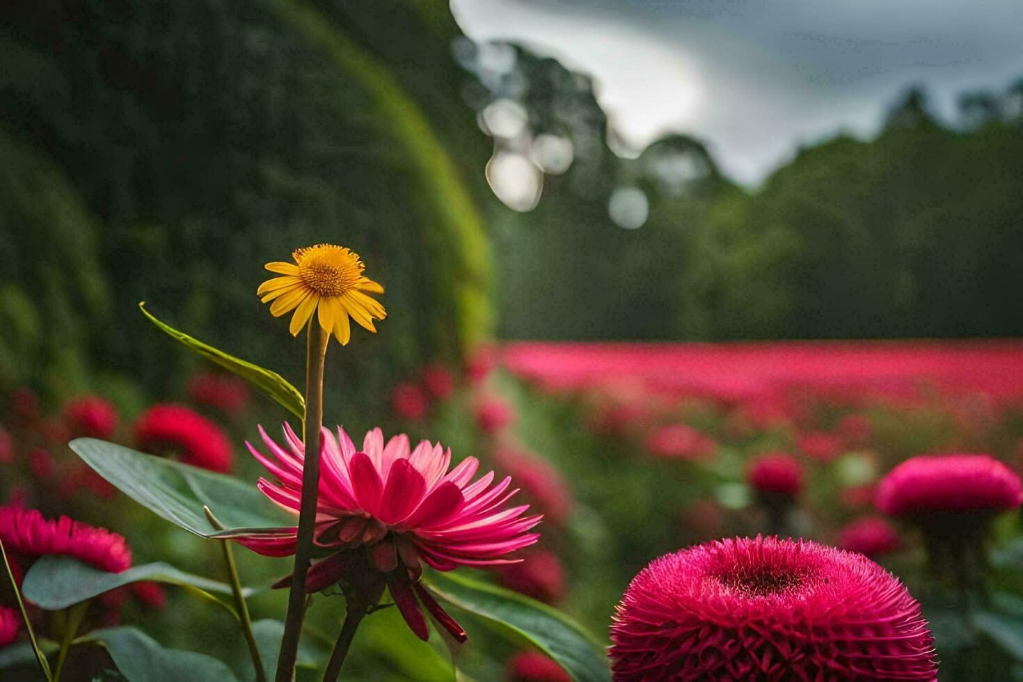 un campo de rosado flores con un amarillo flor en el medio. generado por ai foto