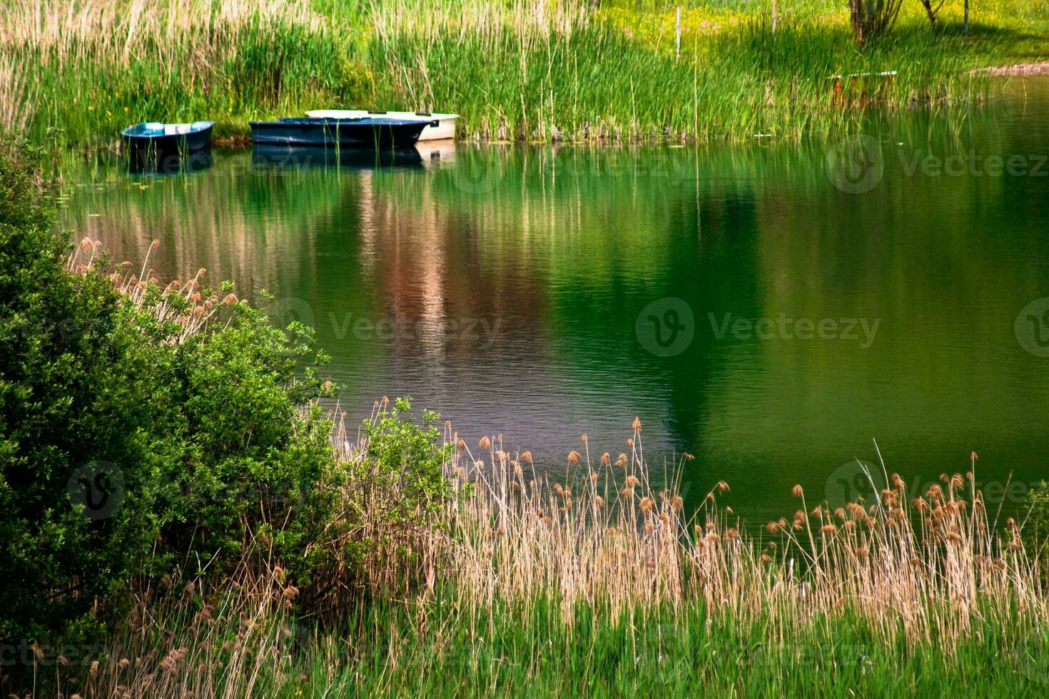 Serene Summer at Lac de la Thuile, Savoie photo