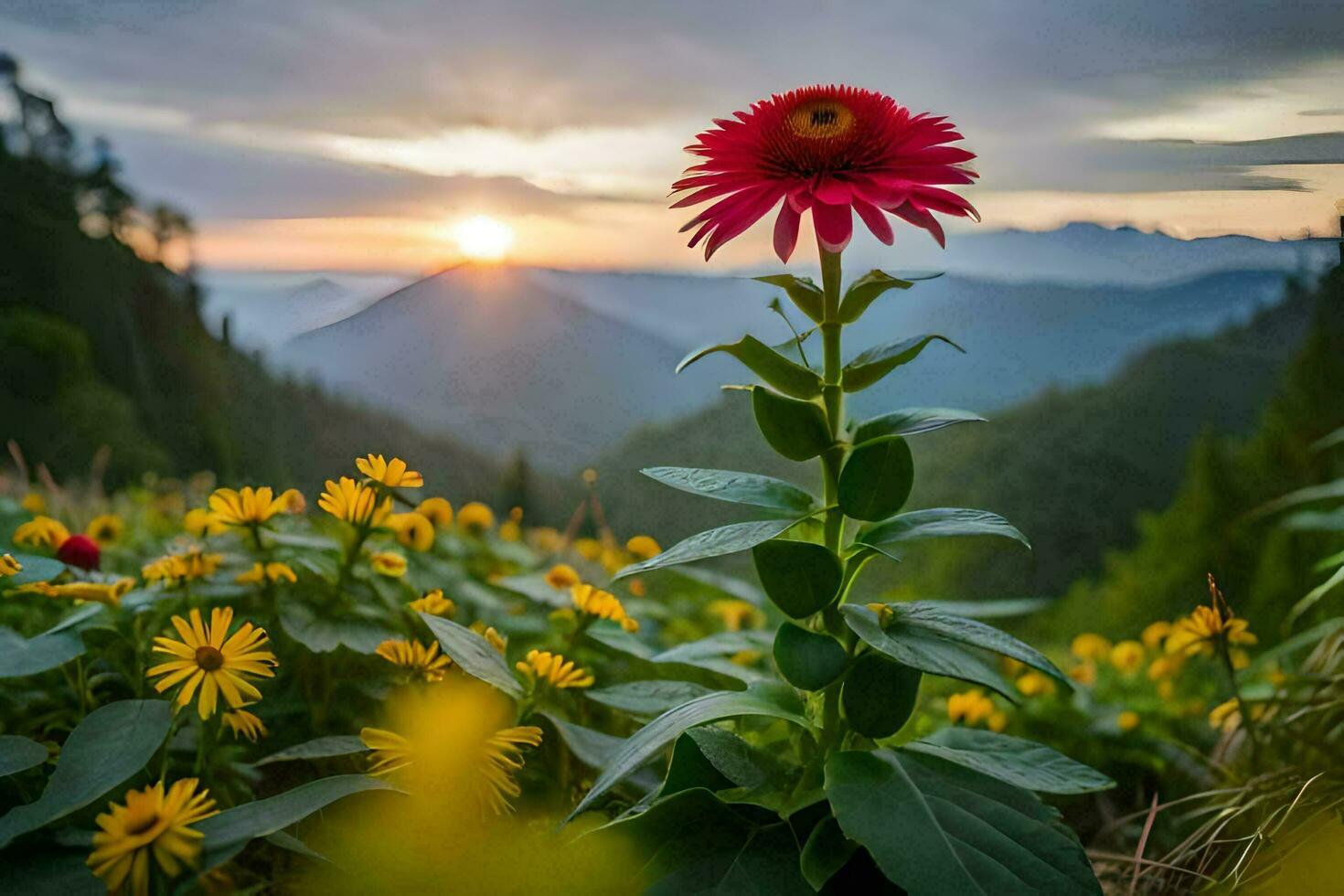 photo wallpaper the sky, flowers, mountains, sunrise, the sun, the mountains, flowers,. AI-Generated