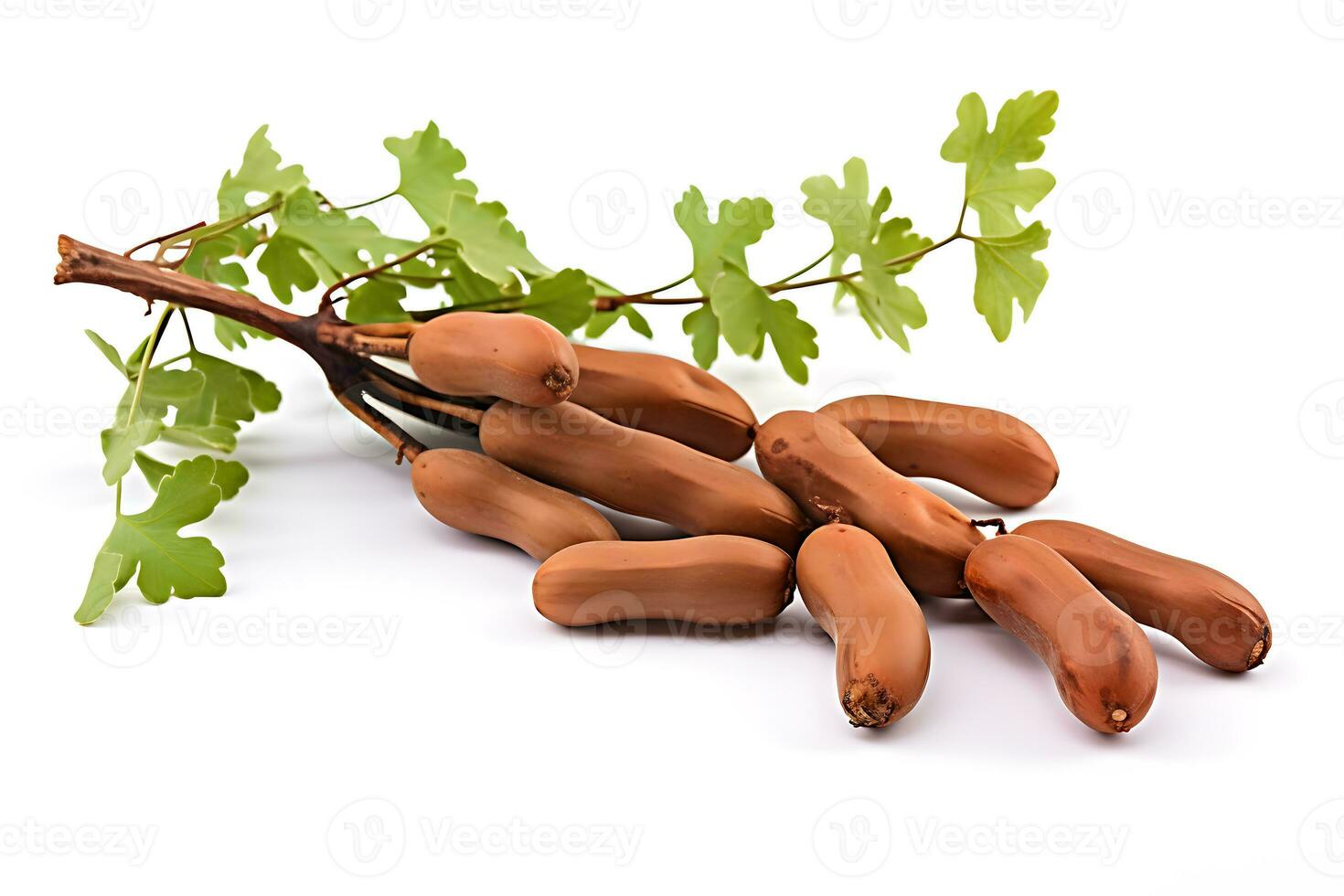 Tamarindo Fruta aislado en blanco antecedentes ai generado foto