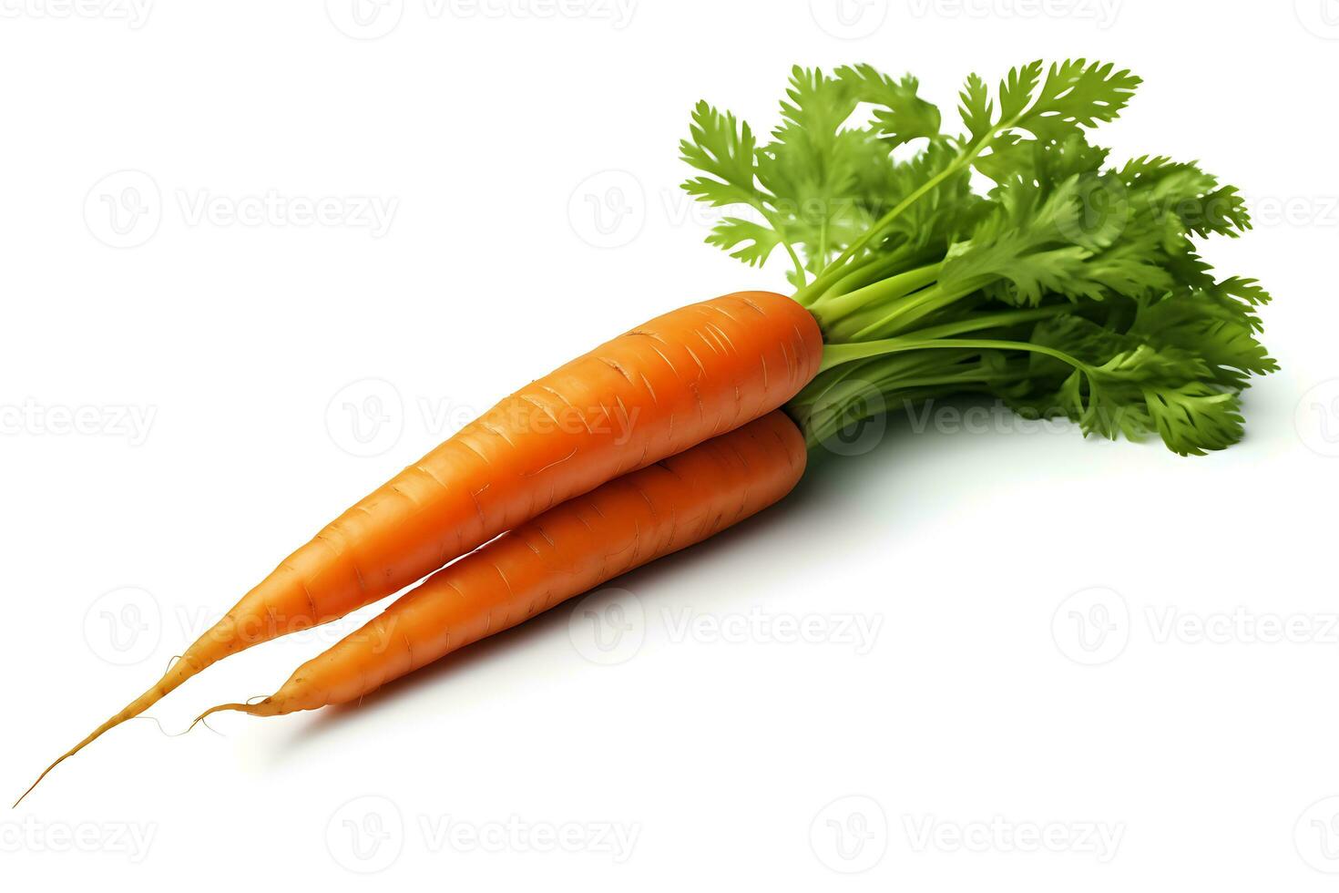 Carrot isolated on white background AI Generated photo
