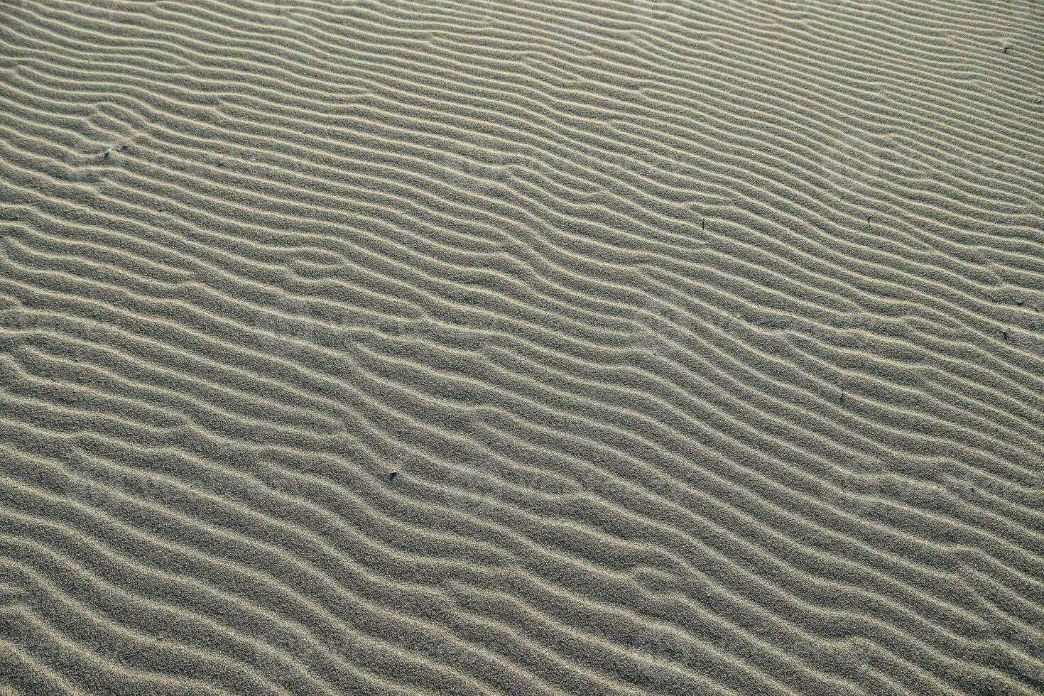 Sand texture background photo