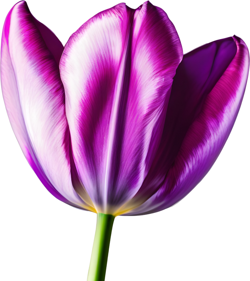 A painting of colorful tulips. AI-Generated. png