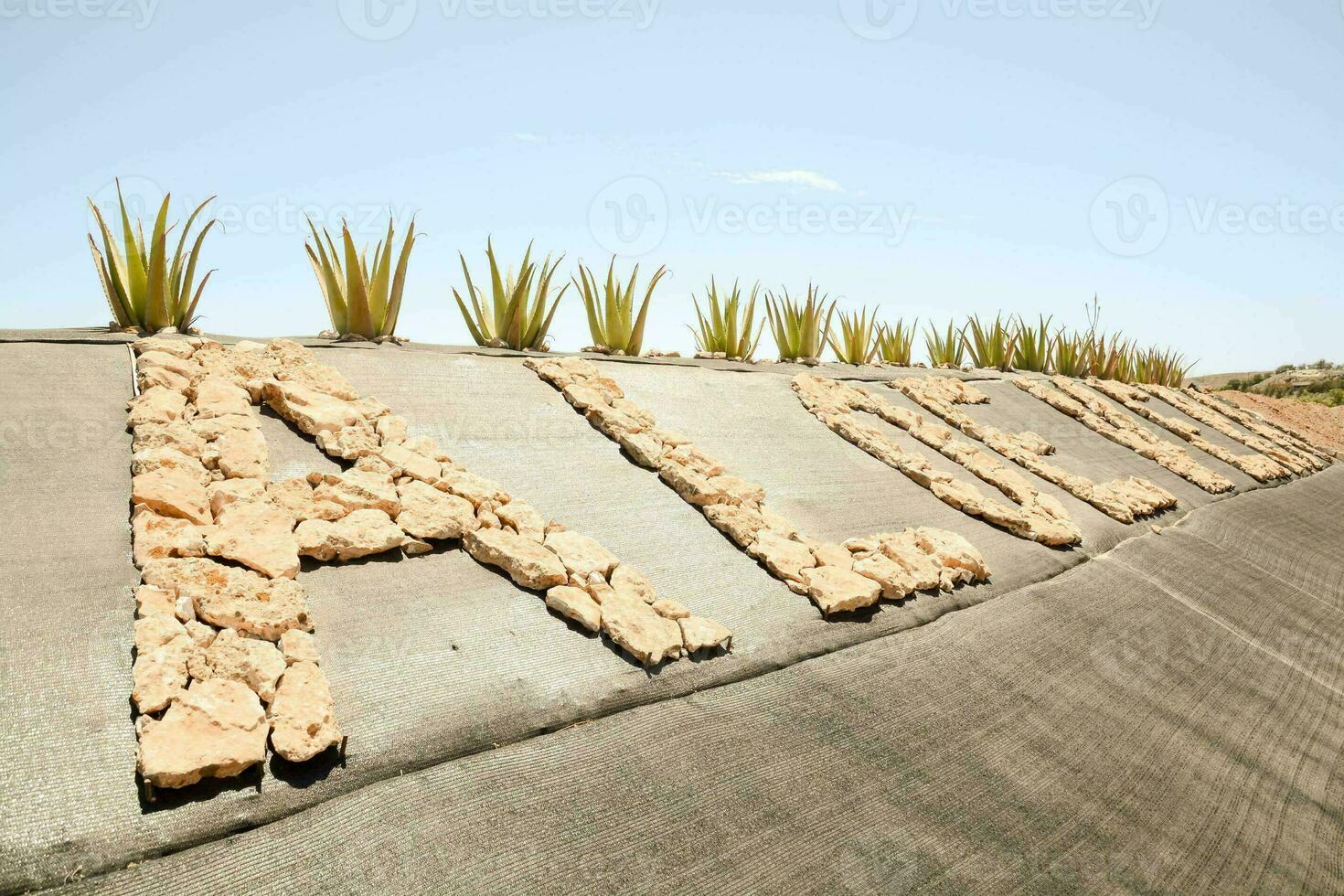 the words aloe vera made out of rocks and plants photo