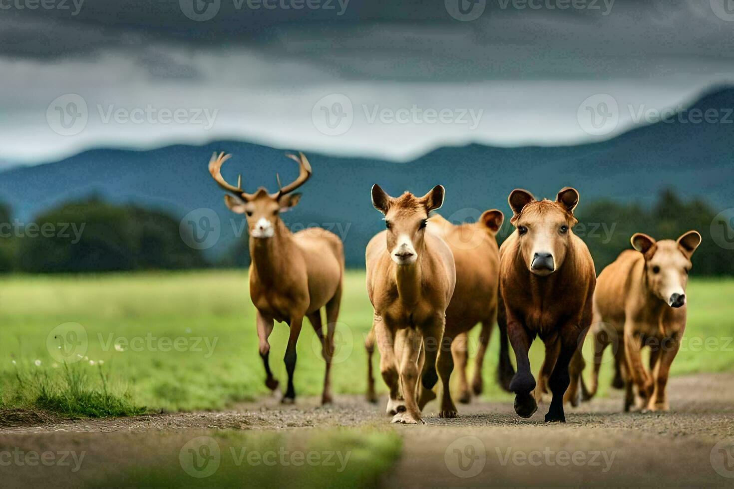 a herd of brown horses walking down a road. AI-Generated photo