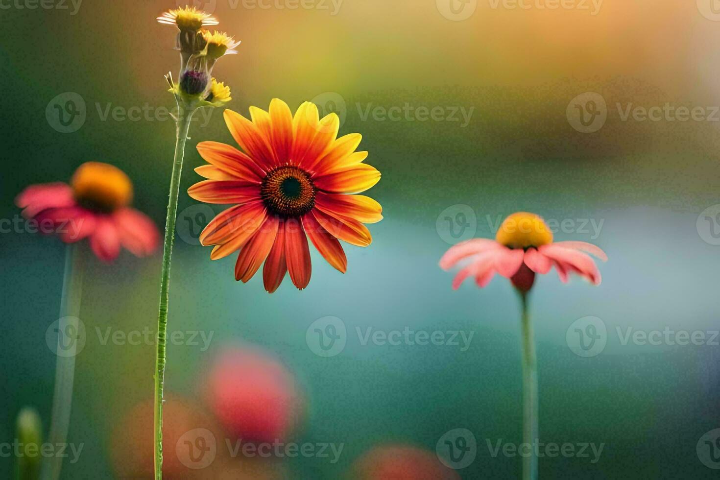 photo wallpaper, the sun, flowers, the field, the field, the field, the field. AI-Generated