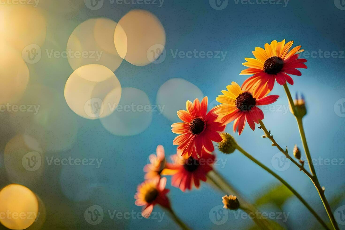 flowers in the sun with bokeh. AI-Generated photo