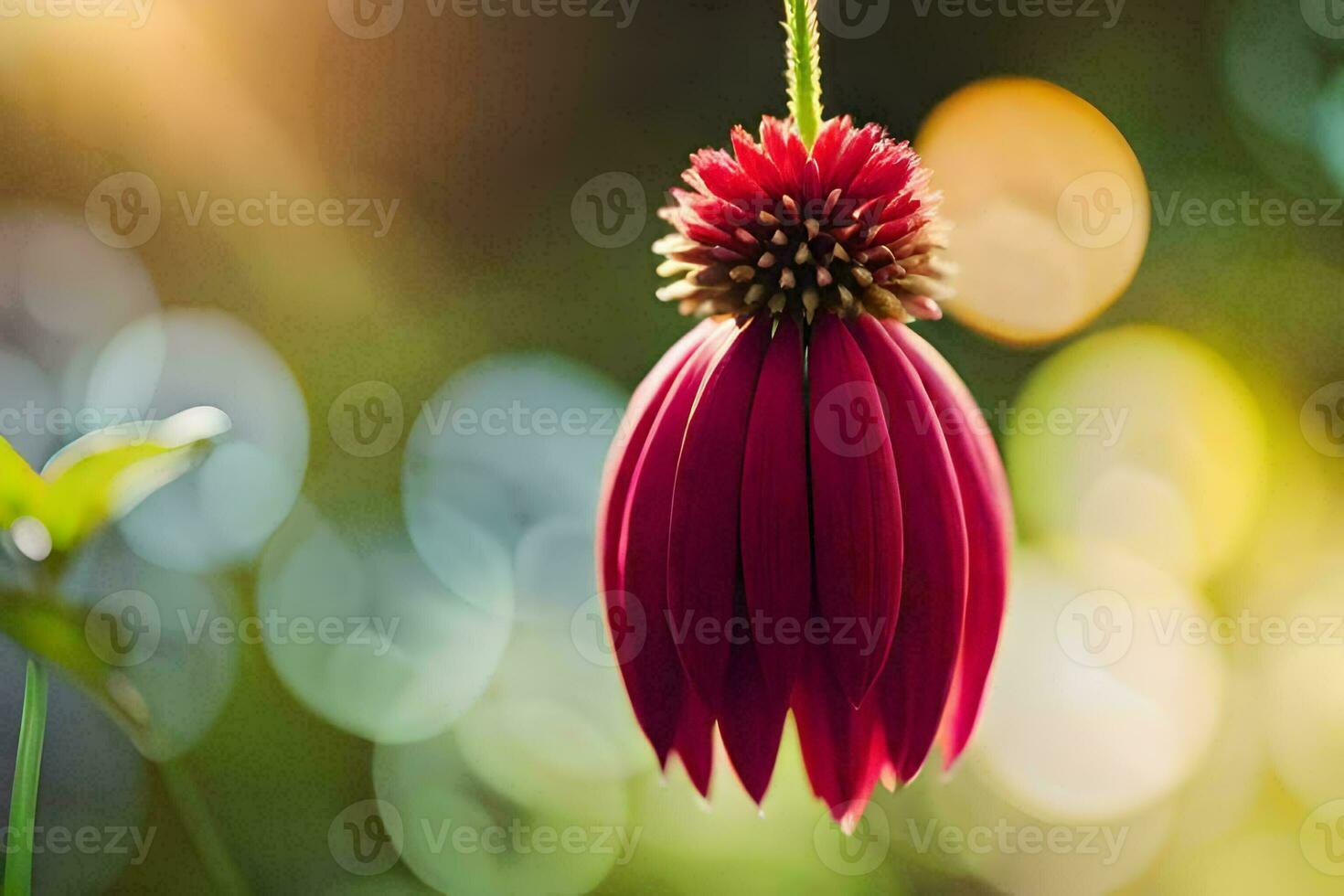 a red flower hanging from a string. AI-Generated photo