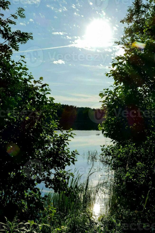 the sun shines brightly over a lake surrounded by trees photo