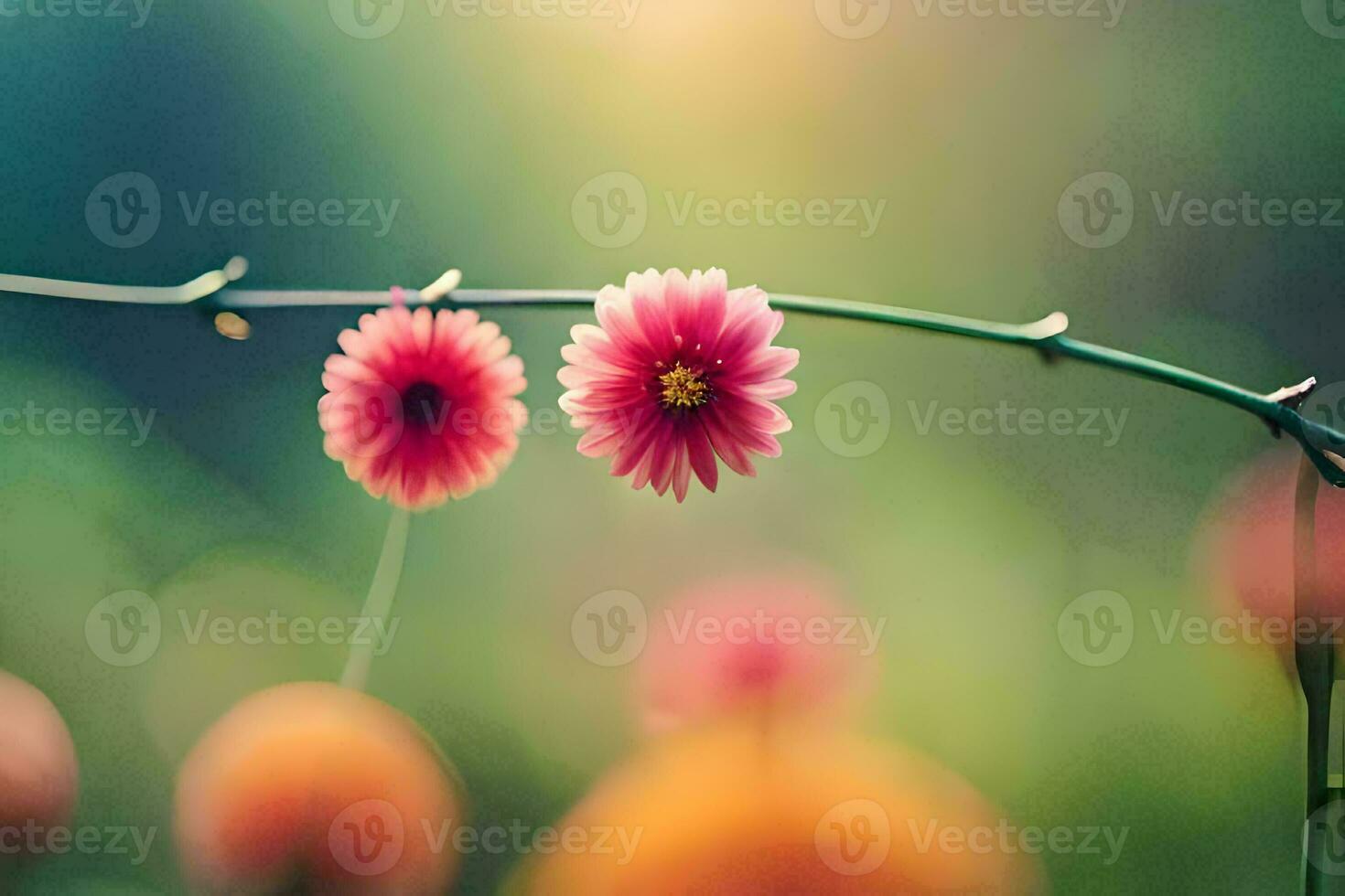 dos rosado flores son en un rama en un campo. generado por ai foto