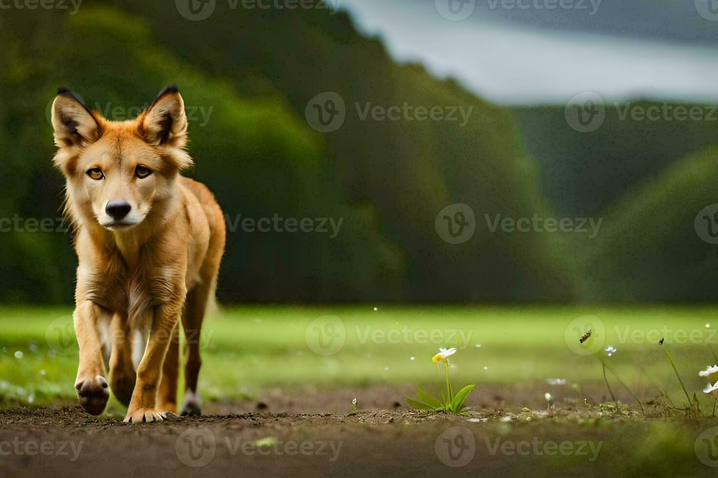 un perro caminando en un suciedad la carretera en el medio de un campo. generado por ai foto