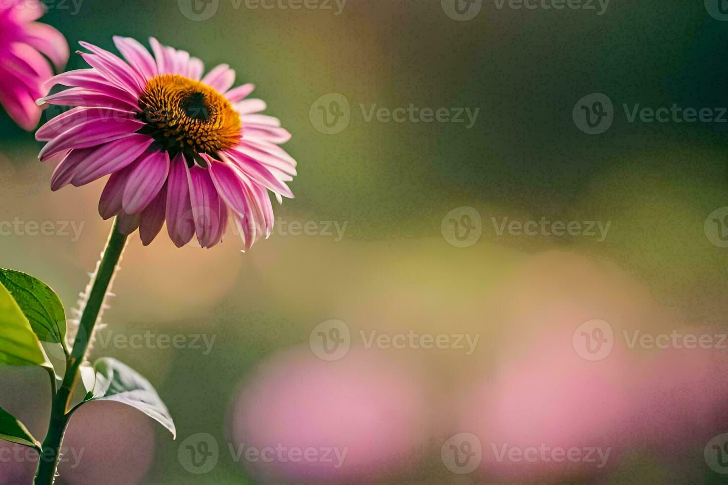 two pink flowers are in the foreground of a field. AI-Generated photo