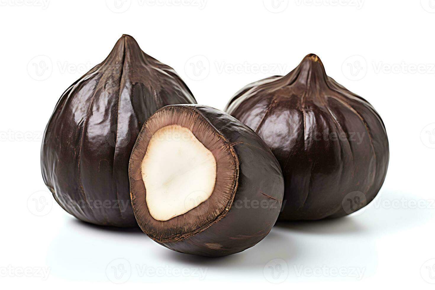Coco de mer isolated on white background AI Generated photo
