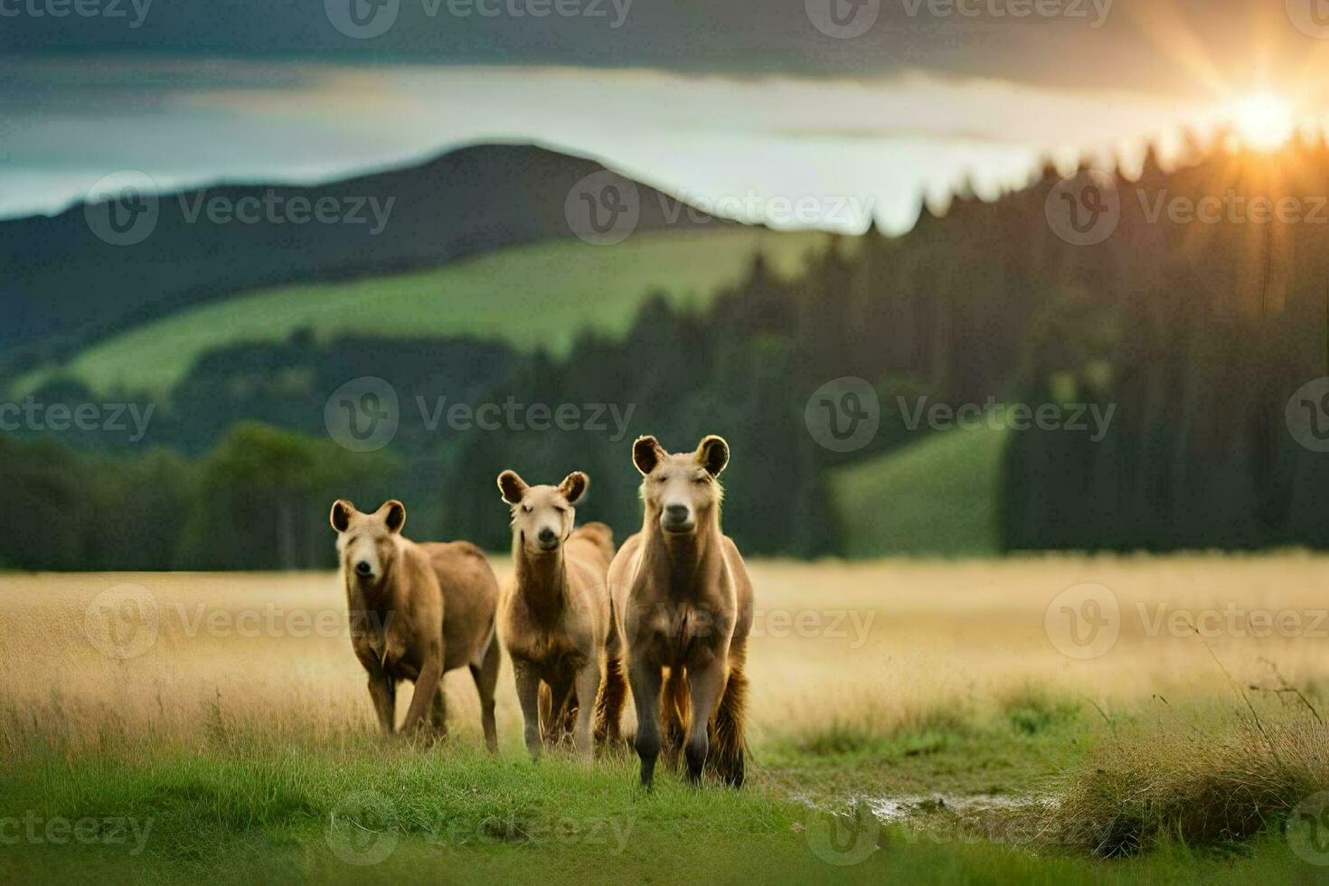 three horses walking in the grass at sunset. AI-Generated photo