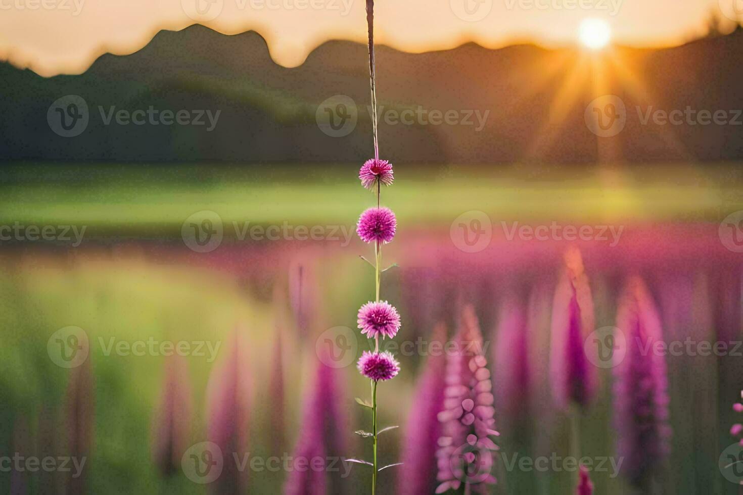 a field of purple flowers with the sun setting behind them. AI-Generated photo
