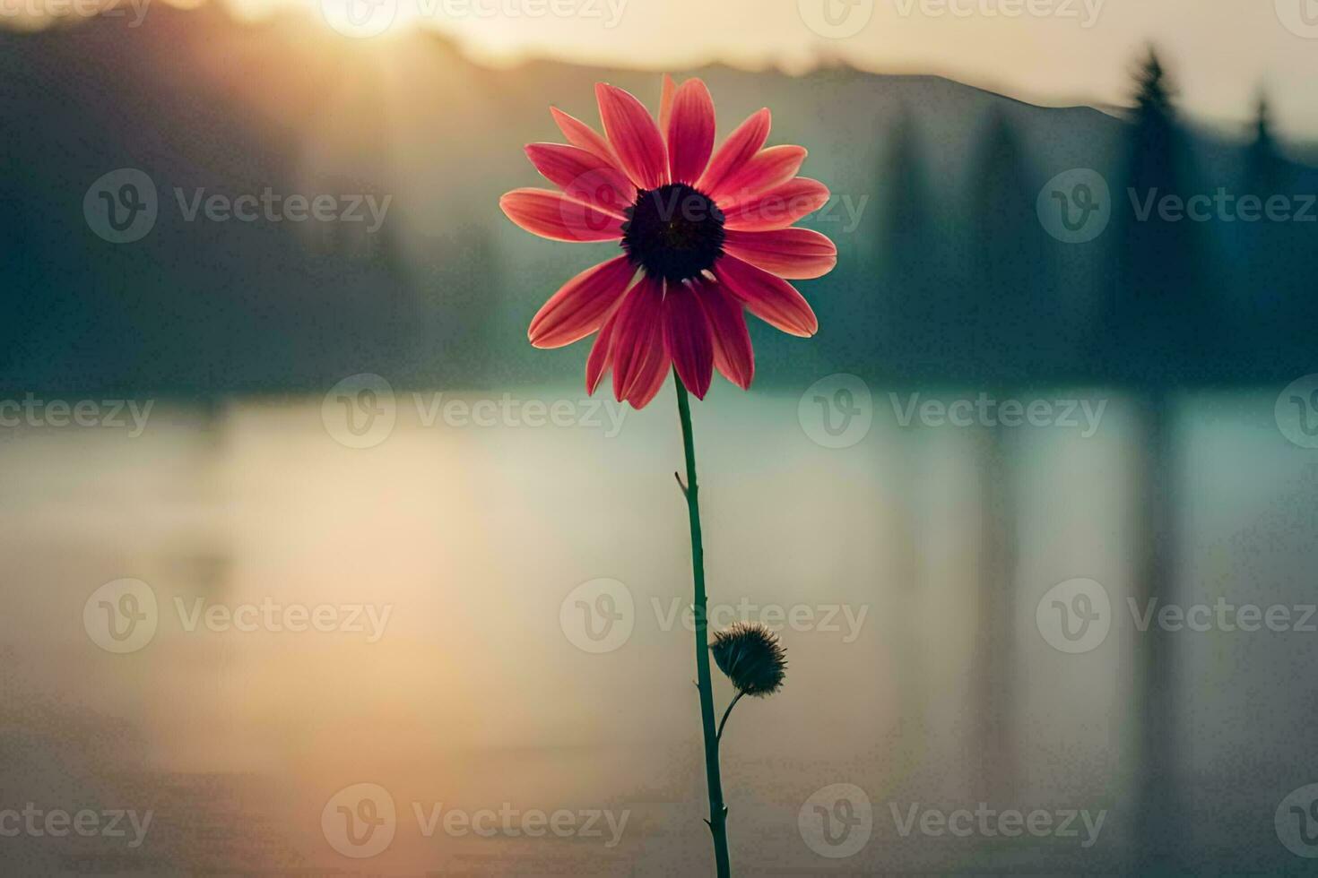 a single flower stands in front of a lake at sunset. AI-Generated photo