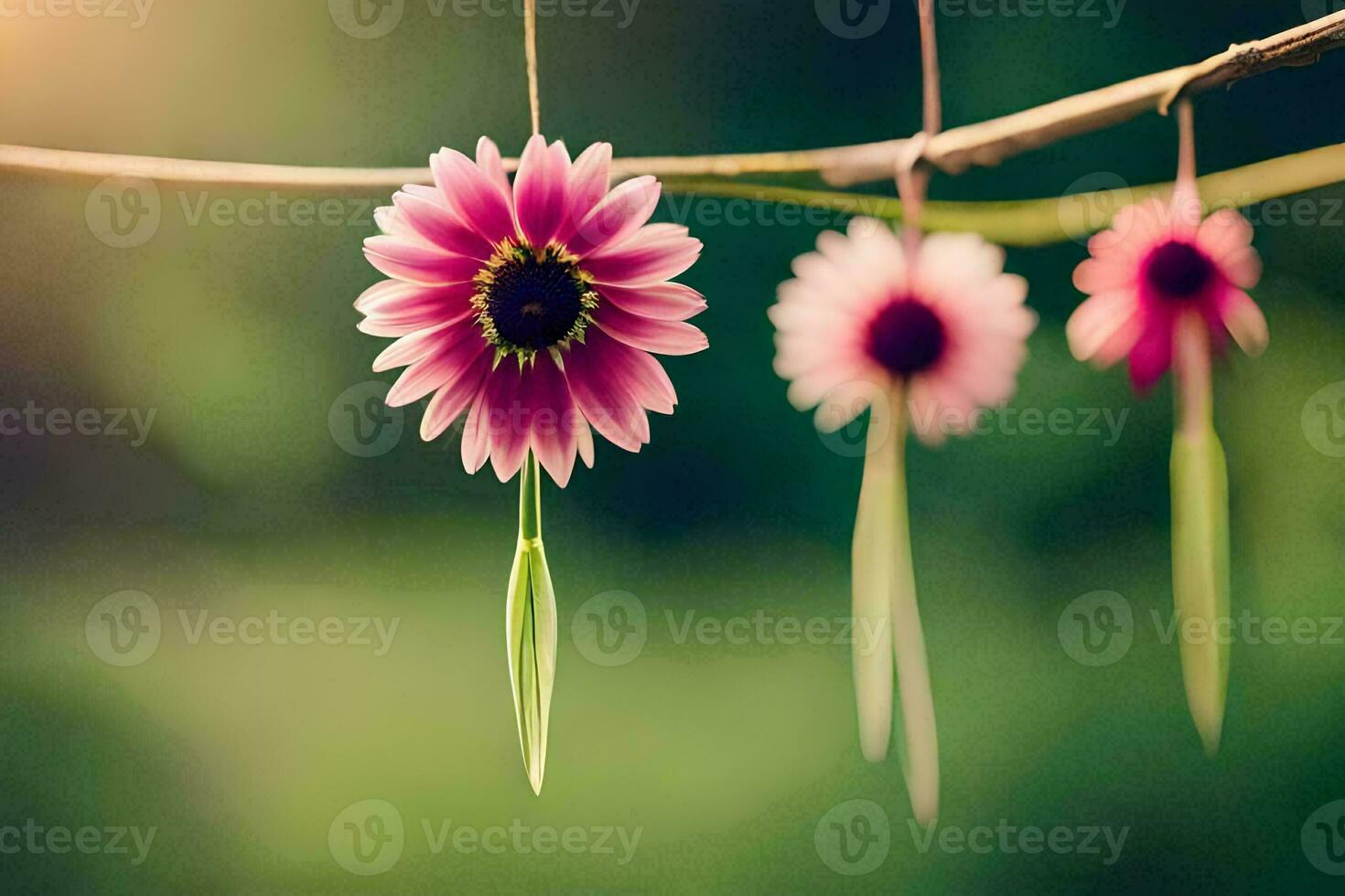 three pink flowers hanging from a branch. AI-Generated photo