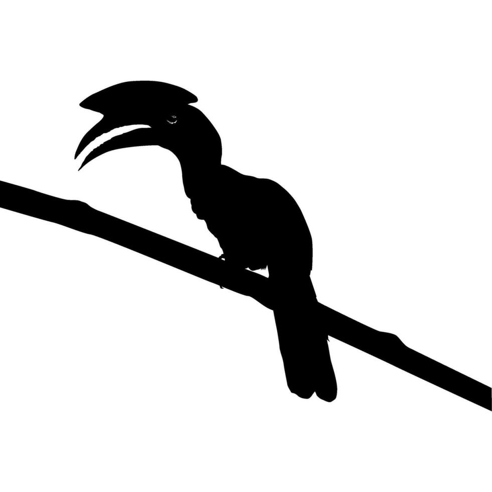 Great Horn Bird Silhouette Perched on the Branch Tree Silhouette. Vector Illustration