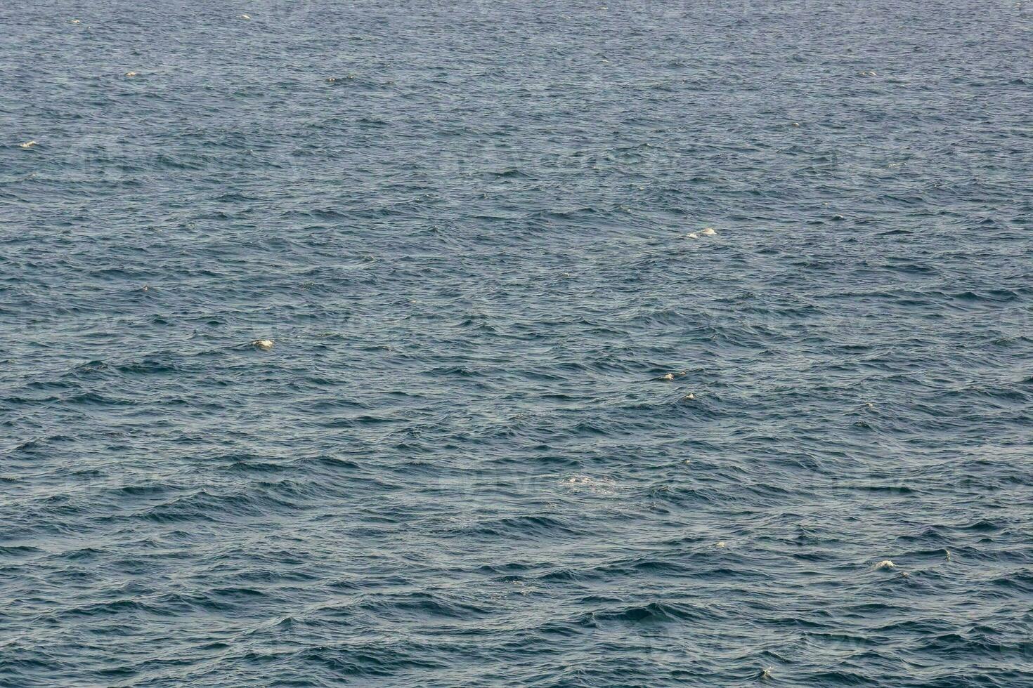 Sea with waves photo