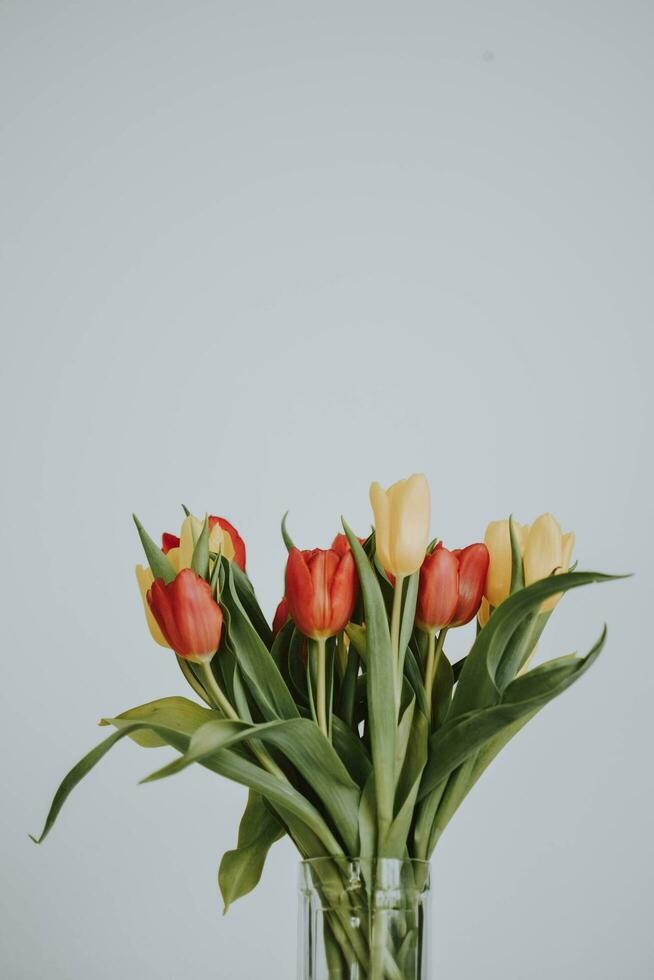 A bouquet of tulips with green leaves photo