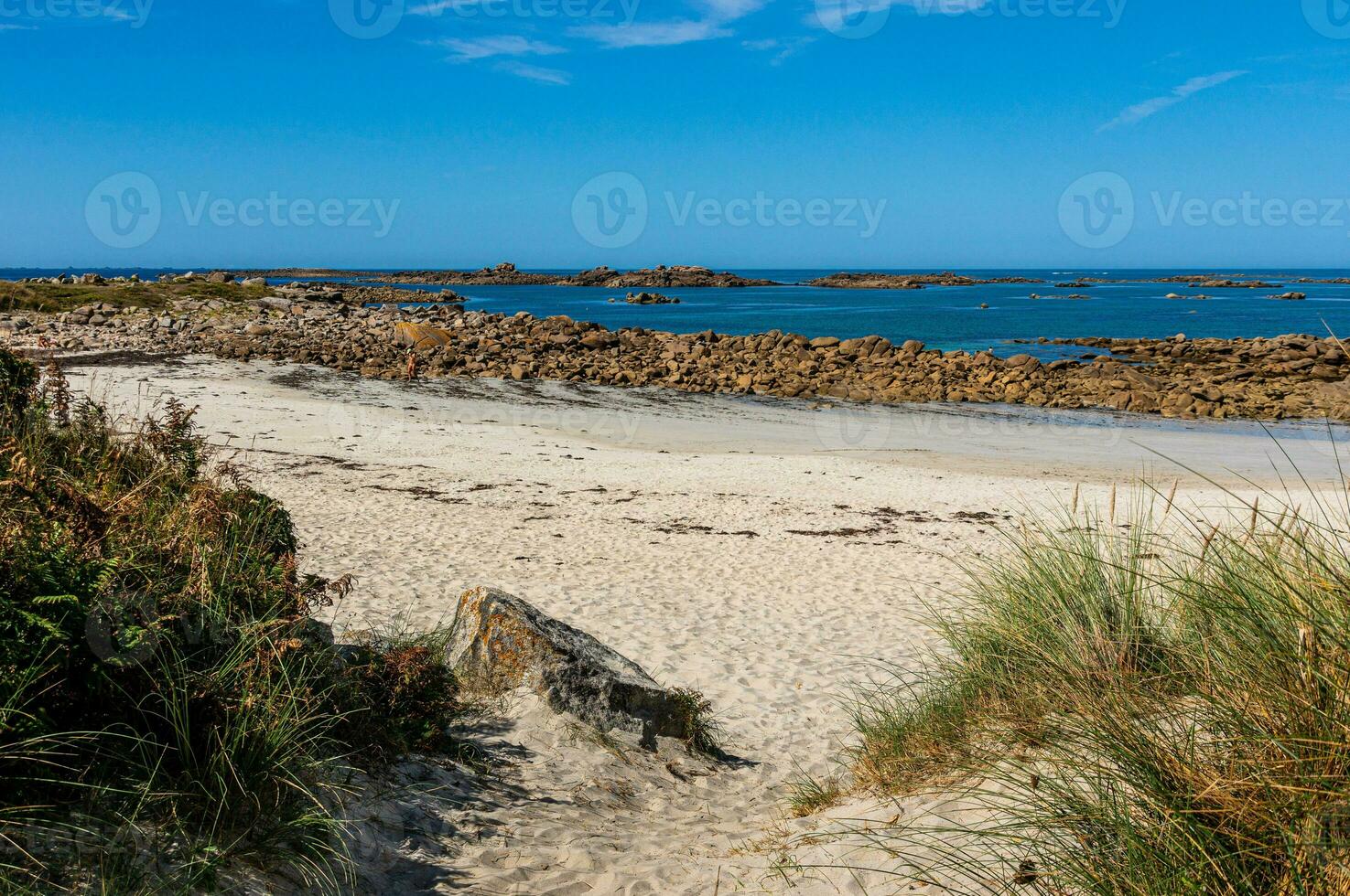 Summer Coastal Beauty in Brittany, France photo