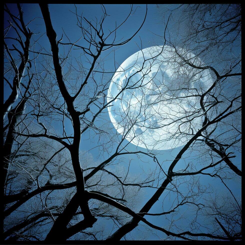 blue sky white moon photo