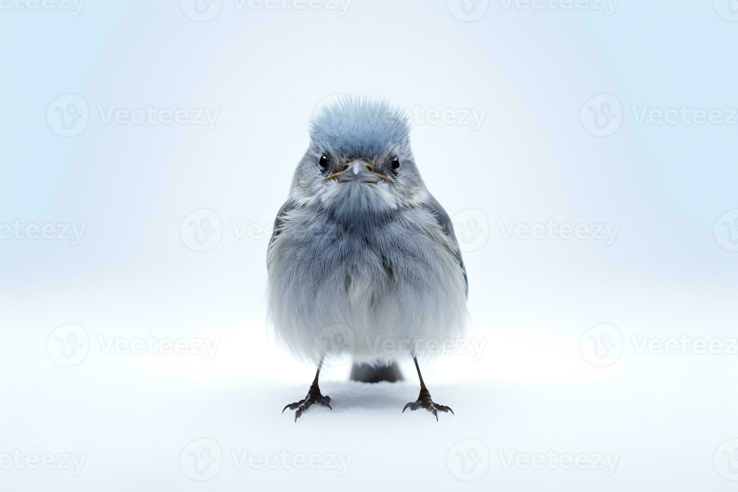 blue bird AI Generative photo