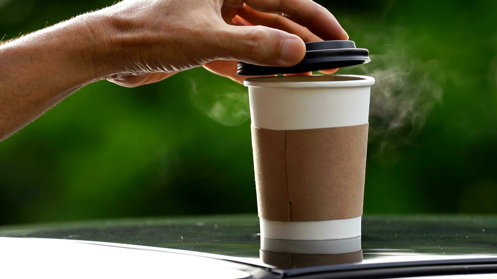 café para llevar en un papel taza en parte superior de el coche techo verde árbol antecedentes a amanecer en el mañana, selectivo enfocar, suave enfocar. foto