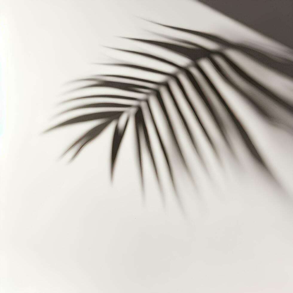 AI Generated Palm Leaf Shadow Overlay Background photo