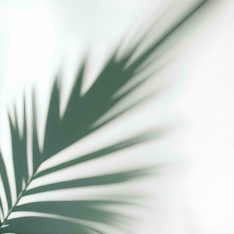 AI Generated Palm Leaf Shadow Overlay Background photo