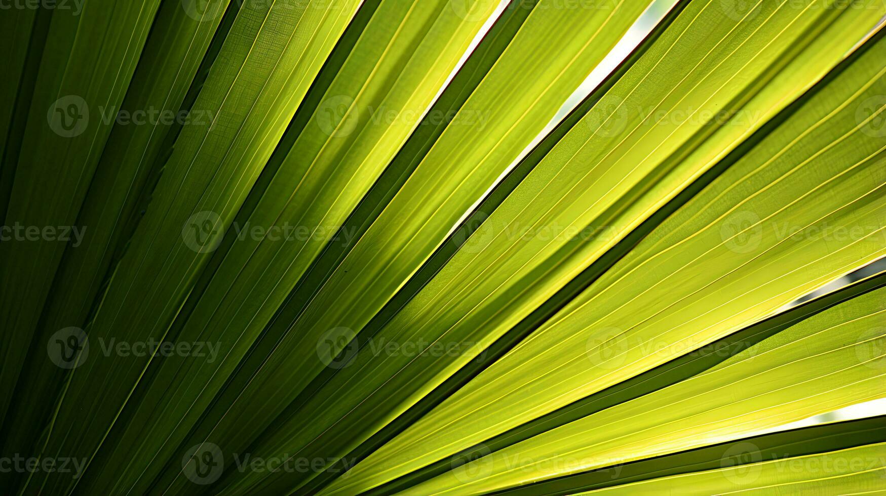 palma hoja de cerca antecedentes y textura ai generativo foto