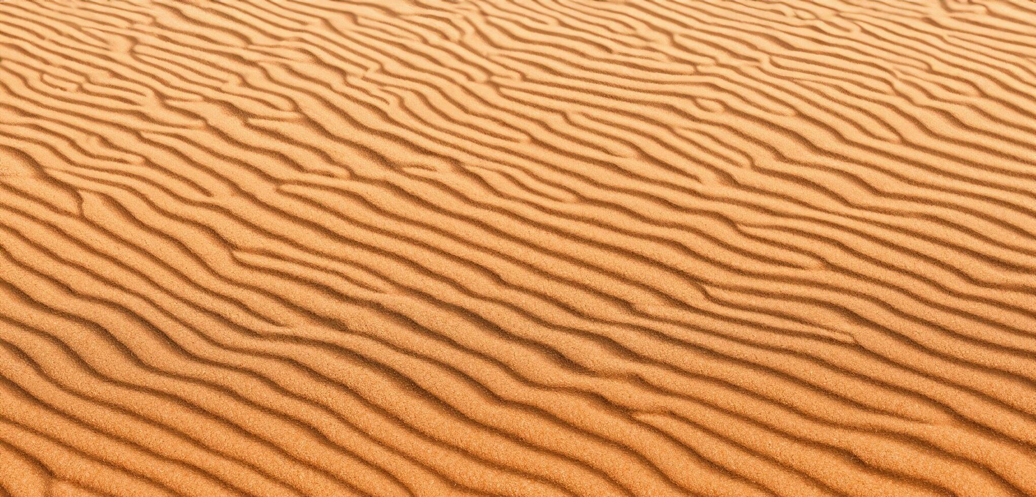 Sand background Panorama of the desert Wrinkles of sand blown by the wind photo