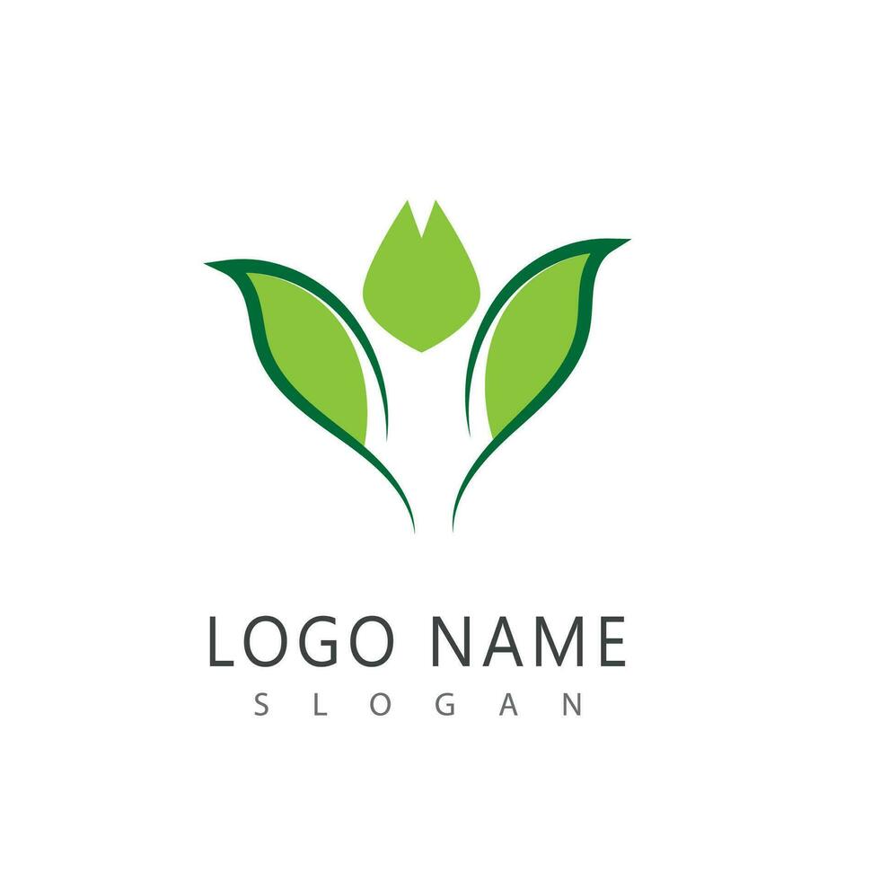 Leaf line logo vector and symbol