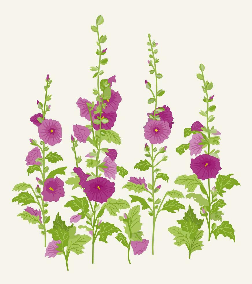 malva. vector floral aislado ilustración