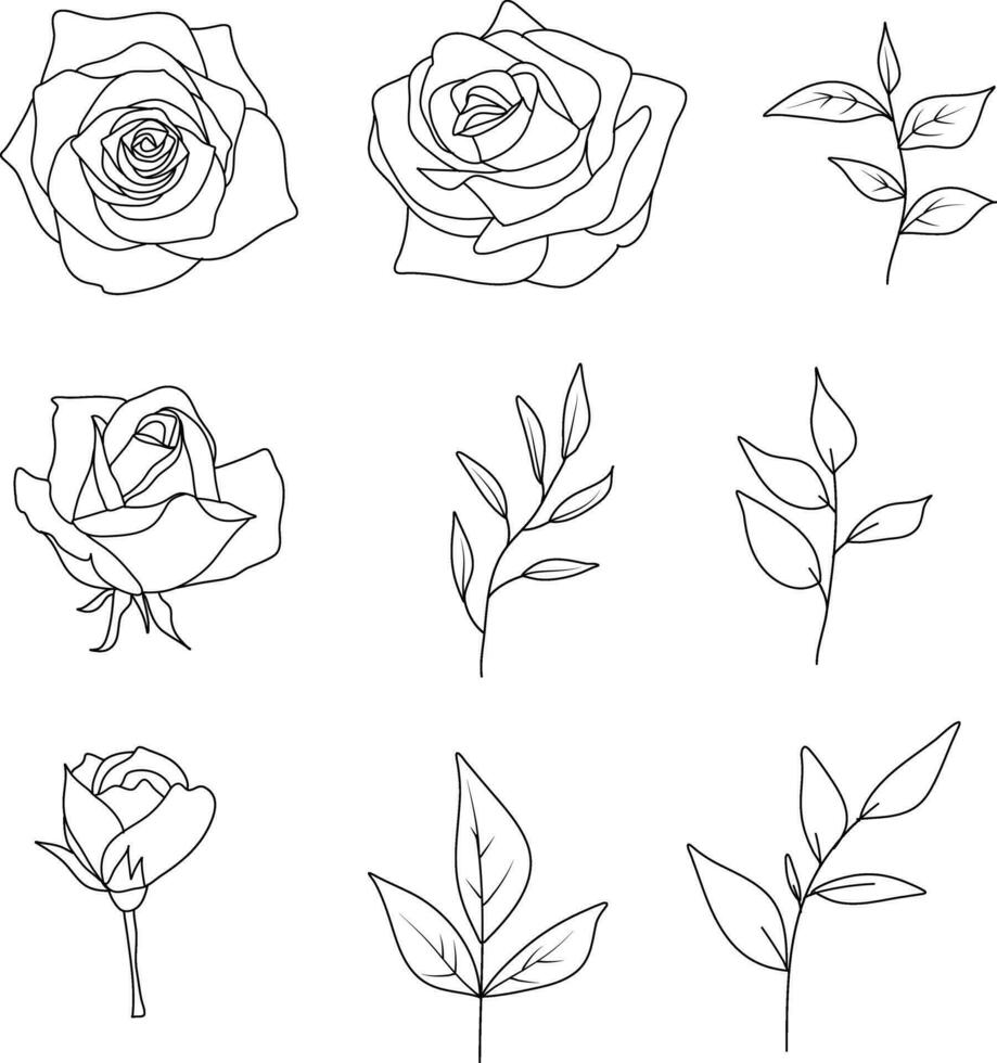 Set of floral sketches. Rose flowers, leaves. Wedding concept. vector